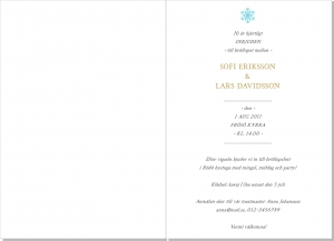 Winter Frost Inbjudningskort